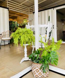 veranda con tavolo, piante e sedie di Luce a Puerto Viejo