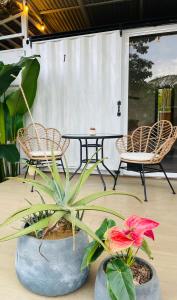 2 sedie e un tavolo e una pianta su un patio di Luce a Puerto Viejo