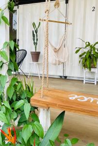 un'altalena di corda in una stanza con piante di Luce a Puerto Viejo