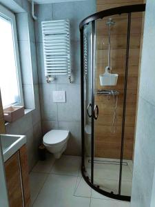 a bathroom with a shower and a toilet at Biały Domek in Wisła