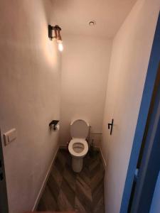 a small bathroom with a toilet in a room at LE PECHE MIGNON - Appart 2 - locationlatamarissiere in Agde +5 photos