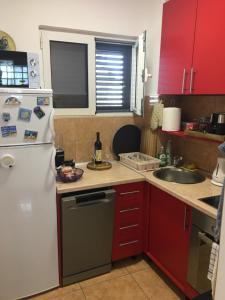 Kuchyň nebo kuchyňský kout v ubytování Apartments Lilly