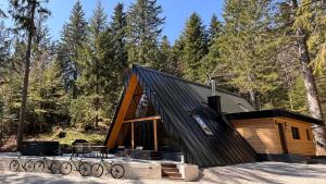 eine Hütte im Wald mit schwarzem Dach in der Unterkunft The Cozy Chalet in Bosanski Petrovac