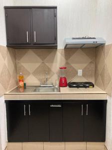 a kitchen with black cabinets and a sink at Excelente Loft Céntrico in Zinapécuaro de Figueroa