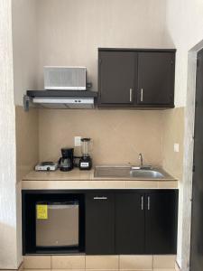 een keuken met een wastafel en een aanrecht bij Excelente Loft Céntrico in Zinapécuaro de Figueroa