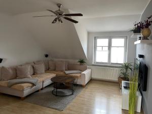 a living room with a couch and a ceiling fan at Bambus, Jungle, Dachterrasse & bequem bis Zentrum in Radebeul