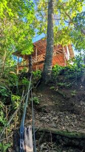 una casa de madera en medio de un bosque en Cabaña entre montañas, equipada., en La Cruz