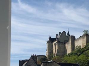 a castle on top of a hill with buildings at Appartement cœur de ville décoré en pierre naturelle in Chinon