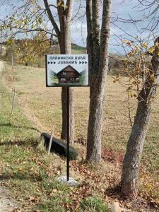 Peisaj natural din apropierea acestui apartament