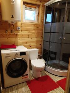 ein kleines Bad mit einem WC und einer Waschmaschine in der Unterkunft Roztocze, Domek Na Leśnym Wzgórzu,Krasnobród,Zamość,Zwierzyniec in Zamość