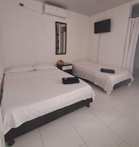 1 dormitorio con 2 camas y TV. en HOSTAL LOS CAMINANTES, en Villavieja