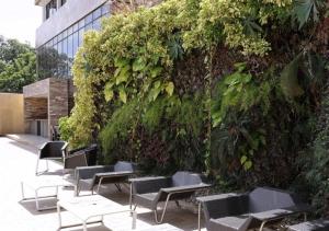 una fila de sillas y mesas delante de una pared en Eurobuilding Hotel & Suites Coro en Santa Ana de Coro