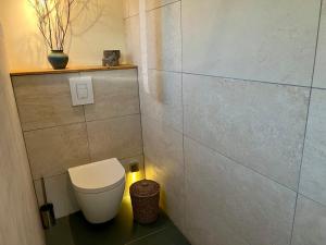 a small bathroom with a toilet in a room at Tinyhouse Minimalus III mit Whirlpool im Grünen in Dessighofen