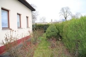 un giardino con due cespugli accanto a una casa di Ferienhaus für 6 Personen in Bezirk 23-Liesing, Wien und Umgebung 