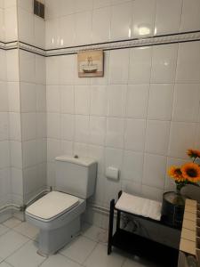 BlueMedina Salas في سالاس: حمام أبيض مع مرحاض وزهور على رف