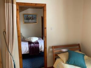 a room with a bedroom with a bed and a mirror at Beech Lodge B&B in Lisheenanoran