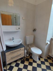卡爾斯魯厄的住宿－Zen Apartment - 2 bedrooms - kitchen，一间带水槽、卫生间和镜子的浴室
