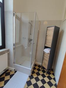 卡爾斯魯厄的住宿－Zen Apartment - 2 bedrooms - kitchen，带淋浴的浴室和玻璃墙