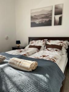 Posteľ alebo postele v izbe v ubytovaní Bódva Apartman