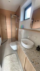 een badkamer met een wastafel, een toilet en een spiegel bij SUQO vendégház in Sukoró
