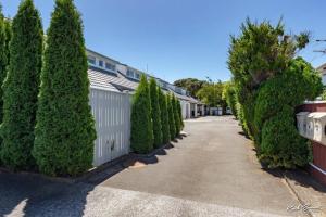 a driveway with trees next to a house at A modern 2 bedroom with private backyard, kitchen. in Lower Hutt