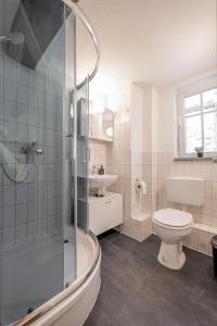 uma casa de banho com um chuveiro, um WC e um lavatório. em Himmlische Altstadt-Maisonette em Marburg an der Lahn
