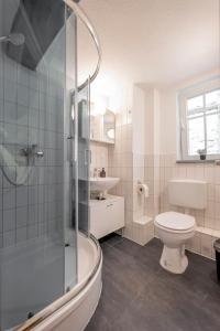 a bathroom with a shower and a toilet and a sink at Himmlische Altstadt-Maisonette in Marburg an der Lahn