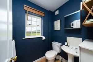 uma casa de banho azul com um WC e um lavatório em Westerpark Countryside Cottage em Huntly
