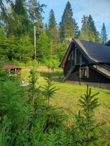 a house with a black roof and some trees at W Cisnej pod 1. in Cisna