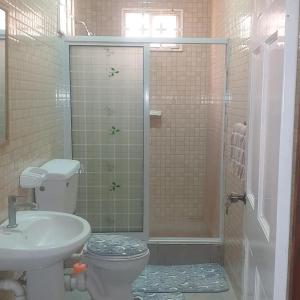 ein Bad mit einer Dusche, einem WC und einem Waschbecken in der Unterkunft S&S Guyana Real Estate Apartment in Georgetown