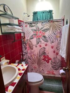 埃尔巴列德安通Quinta Las Victorias的一间带粉红色淋浴帘和卫生间的浴室 更多39张照片