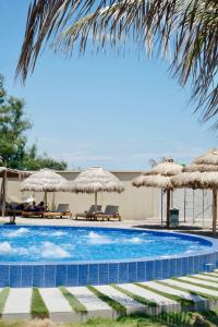 a swimming pool with umbrellas and chairs at Hotel Presidente Beach Playas in Playas