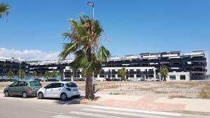 deux voitures garées à côté d'un palmier devant un bâtiment dans l'établissement Neo Mediterráneo, à Barrio-Mar