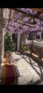 Gallery image of O’Sole in Capri