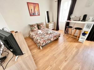 salon z kanapą i telewizorem w obiekcie LE PTIT STEIR - CALME - WIFI - CENTRE VILLE - ENTREE AUTONOME w mieście Quimper