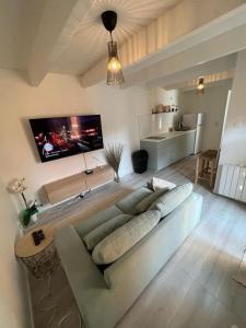 Little house (near Paris & Airport) في درانسي: غرفة معيشة مع أريكة وتلفزيون بشاشة مسطحة