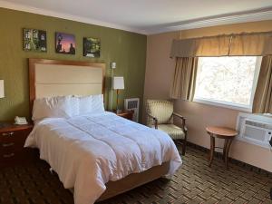 Habitación de hotel con cama grande y ventana en Arbor Inn - Weymouth, en Weymouth