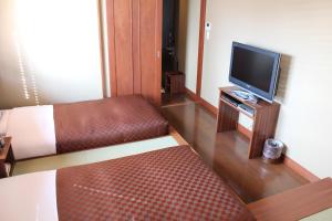TV a/nebo společenská místnost v ubytování Hotel Saika