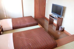 TV a/nebo společenská místnost v ubytování Hotel Saika