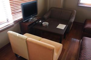 TV a/nebo společenská místnost v ubytování Hotel Saika