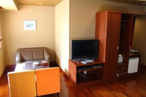 TV a/nebo společenská místnost v ubytování Hotel Saika