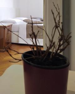 um vaso de planta sentado numa mesa ao lado de uma cama em Guest House Lorvand em Roma