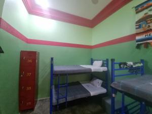 Habitación con 2 literas en una habitación con paredes verdes en Hostal Amigo en Ciudad de México