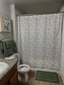 uma casa de banho com um WC e uma cortina de chuveiro em Devine Livings at Hermann Park em Houston
