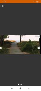 einen Fernsehbildschirm mit einem Bild eines Baumes in der Unterkunft Villa les pieds dans l'eau in Borgo