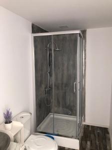 La salle de bains est pourvue d'une douche et de toilettes. dans l'établissement WildGlampingArieseni, à Arieşeni