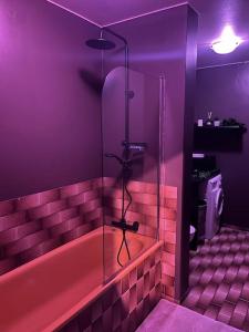une salle de bains pourpre avec douche et caméra. dans l'établissement Luxurious apartment in Reykjavík, à Reykjavik