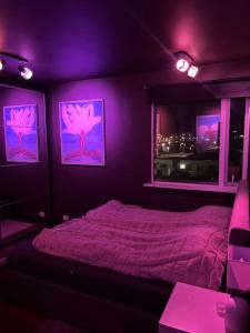 - une chambre violette avec un lit et 2 fenêtres dans l'établissement Luxurious apartment in Reykjavík, à Reykjavik
