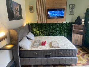 łóżko w pokoju z telewizorem i kanapą w obiekcie Village Fertile w Charleroi