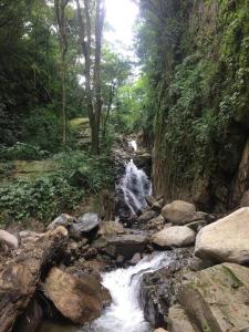 una cascada en medio de un bosque con rocas en Casa de las Brujas Escazú, en Escazú